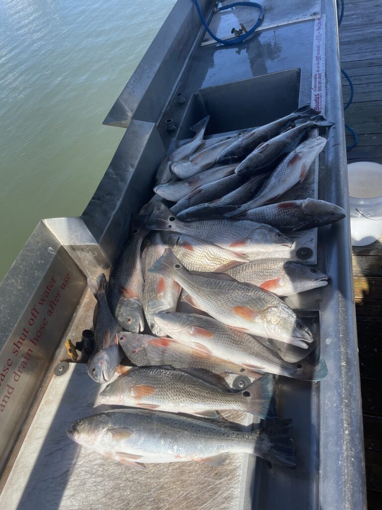 fishing november savannah