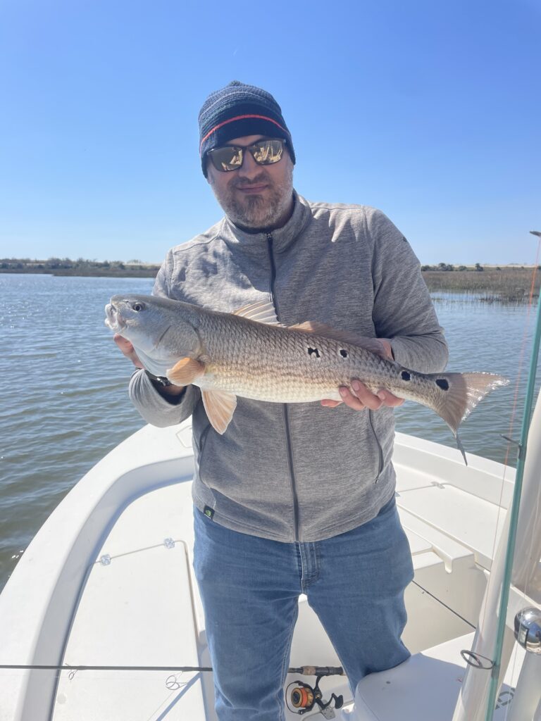 February fishing report savannah whiplash charters