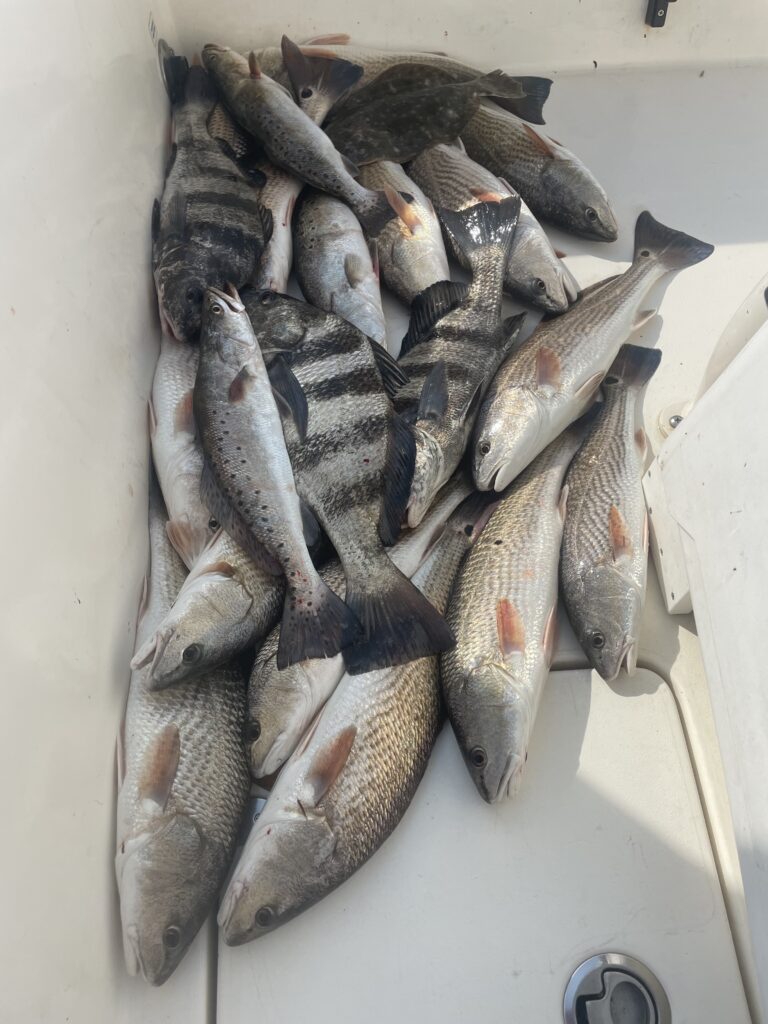 savannah fishing charters