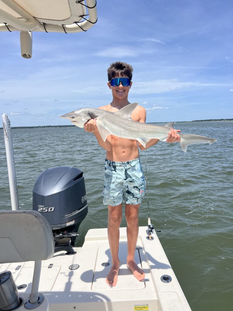 June fishing sharks