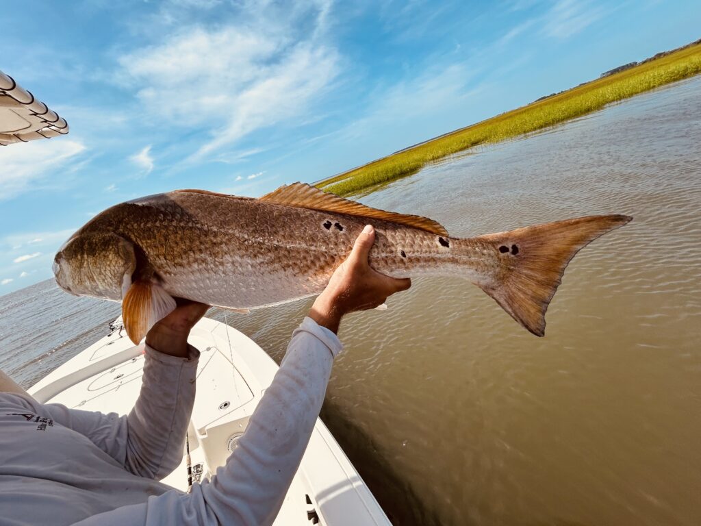 August Fishing in Savannah: